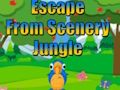 Jogo Fuja da selva do cenário  online