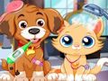 Jogo Cuidados veterinários para cachorros  online