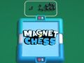 Jogo Xadrez Magnético  online