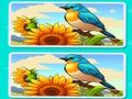 Jogo Descubra as Diferenças no Jardim  online