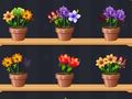 Jogo Bom Mestre das Flores  online