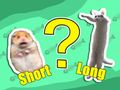 Jogo Questionário infantil: o mais curto e o mais longo  online