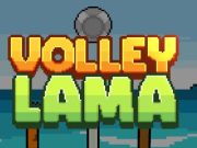 Jogo Voleibol Lama  online