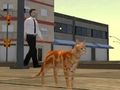 Jogo Simulador de cidade de gato online Jogo Simulador de cidade de gato online