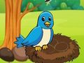 Jogo Ajude a Mãe Pássaro  online