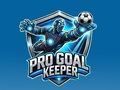 Jogo Goleiro profissional  online