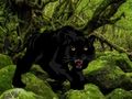 Jogo Fuja da Floresta dos Panteras Negras  online
