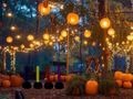Jogo Fuga adorável no jardim de Halloween  online