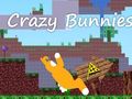 Jogo Coelhos loucos  online