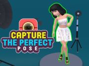 Jogo Capture a pose perfeita  online