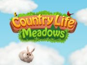 Jogo Prados da vida no campo  online