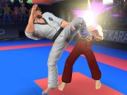 Jogo Lutador de Karatê  online