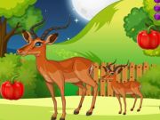 Jogo Midnight Wings  online