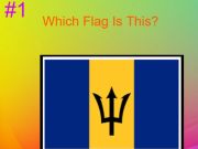 Jogo Quiz de bandeira dura 30s  online
