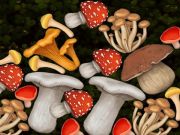 Jogo Mesclar cogumelos  online
