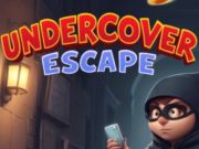 Jogo Escape disfarçada  online