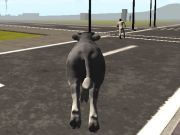 Jogo Crazy Bull City  online