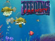 Jogo Alimentando frenesi online