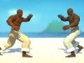Jogo Caça capoeira  online