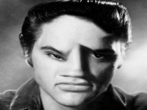 Jogo ELVIS FACA FONICA online