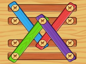 Jogo Porcas de parafusos para parafusos de madeira resolver online