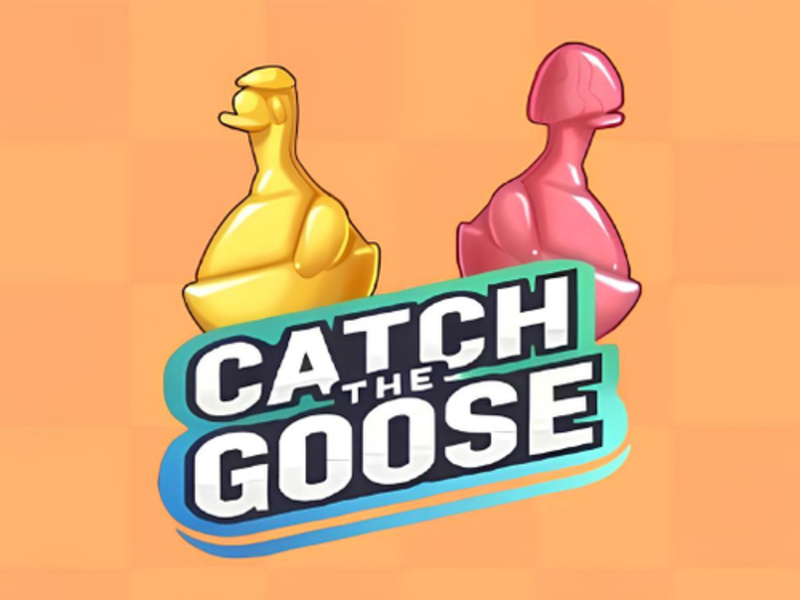 Jogo Pegue o ganso online