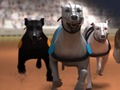 Jogo Corrida de galgos  online