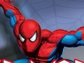 Jogo Guerreiro de Aranha  online