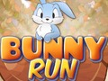 Jogo Corrida de coelho  online