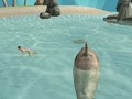 Jogo Shark Simulator Beach Killer online