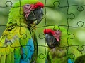 Jogo Quebra-cabeça de floresta tropical  online
