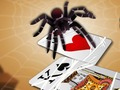 Jogo Spider Spider  online