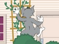 Jogo Tom und Jerry: Wasserbomben Wahnsinn online