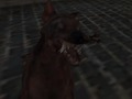 Jogo Exército Nazista de Zumbis  online