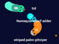 Jogo Curvz. io  online