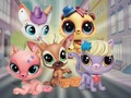 Jogo Pet Shop: esconde-esconde  online