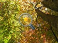 Jogo Estrelas Douradas Escondidas  online