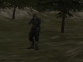 Jogo Agência FPS: Forest  online