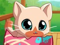 Jogo Meu gato de gatinho de animais de estimação de bolso  online