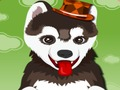 Jogo Dando banho em um cachorro fofo  online