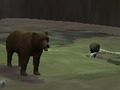 Jogo Urso  online