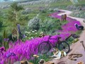 Jogo Trilha de desaparecimento  online