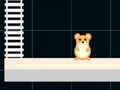 Jogo Hamster Inteligente: Par e Ímpar  online