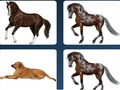 Jogo Problema de memória do animal de estimação  online