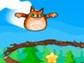 Jogo Foto de um gato bravo  online