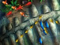 Jogo Rei da pesca  online