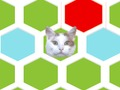 Jogo Armadilha do gato  online