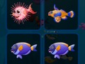 Jogo Cartas de peixe  online
