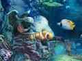 Jogo Ouro afundado  online