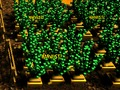 Jogo Fazenda Pixel  online